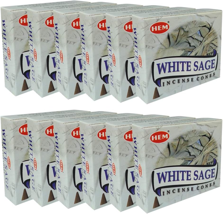 White Sage Incense Cones and Burner Bundle