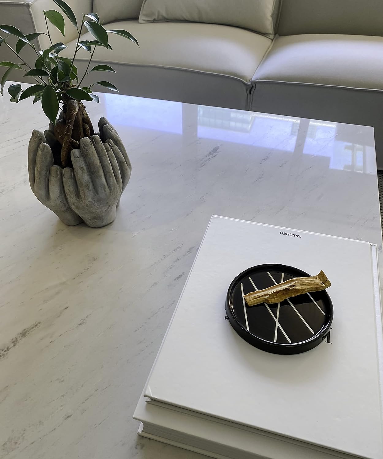 Bursera Onyx Ceramic Plate with Tree Planted