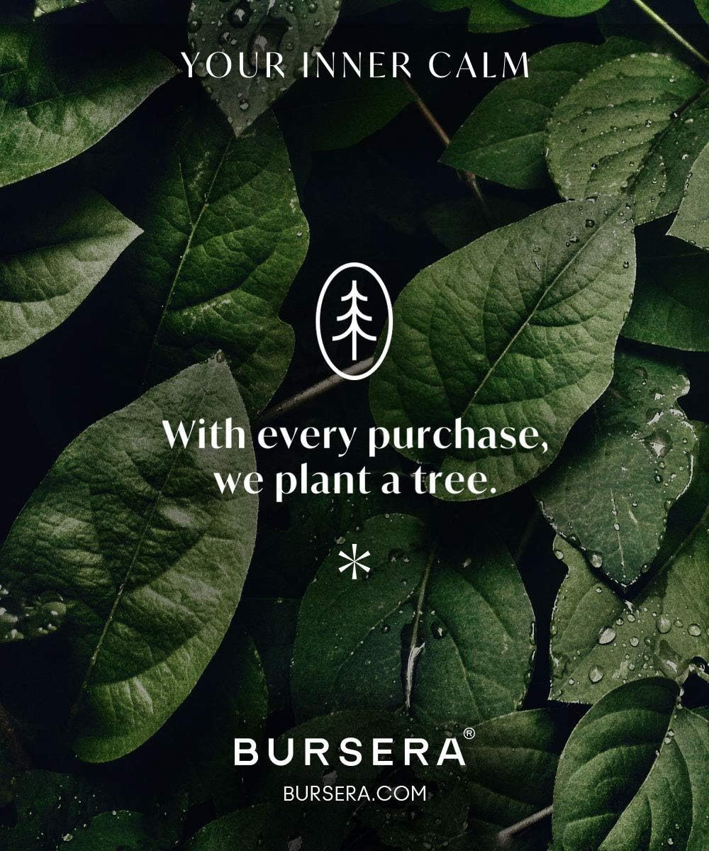Bursera Onyx Ceramic Plate with Tree Planted