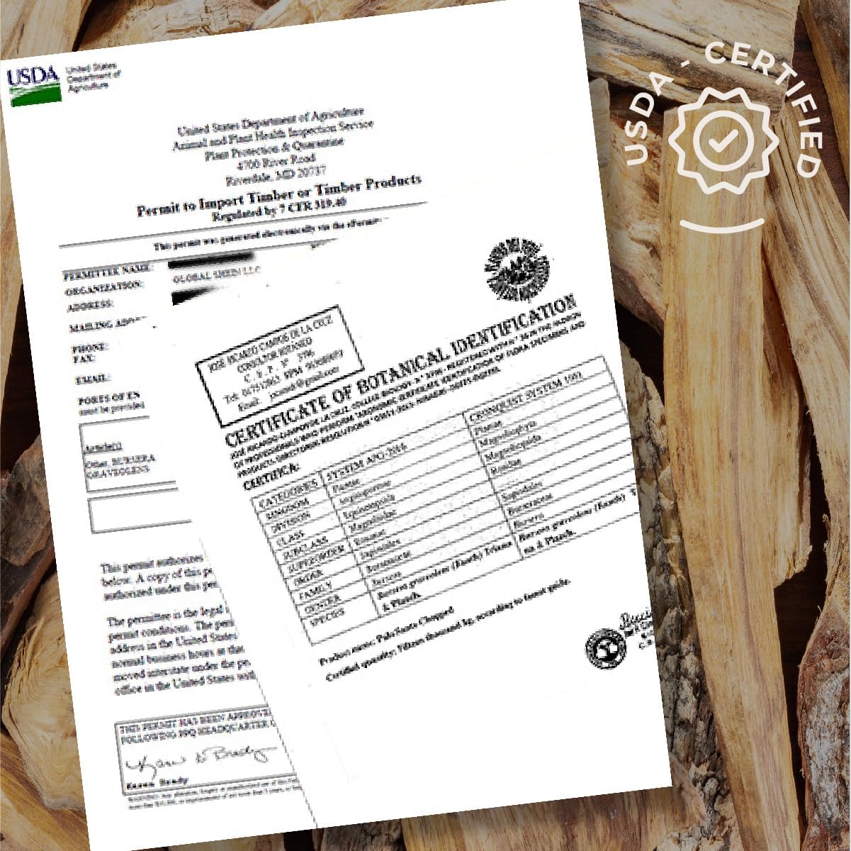 Almacura Palo Santo Premium Sticks 8 Pack