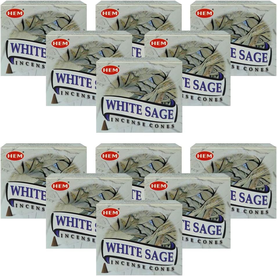 White Sage Incense Cones and Burner Bundle