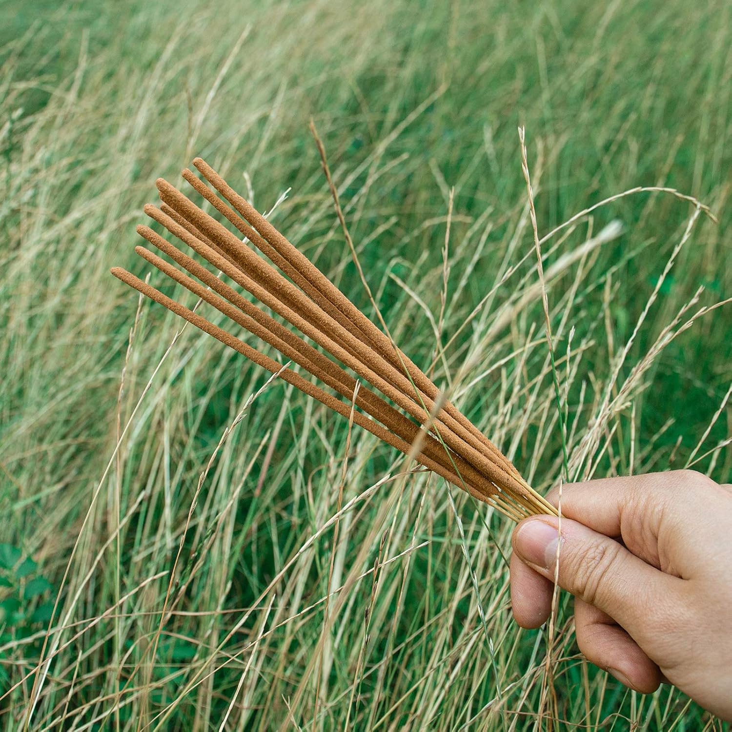 GOLOKA Nag Champa Incense 250 GM Box Natural