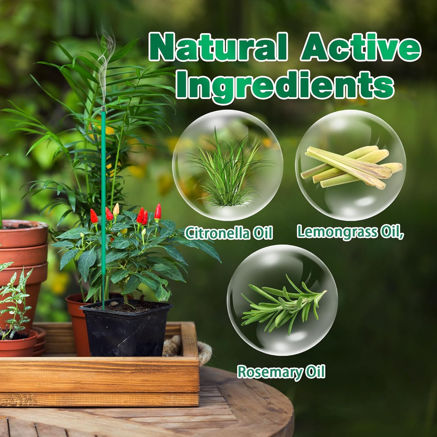 240 PCS Citronella Incense Sticks for Mosquito Repellent Indoor Outdoor