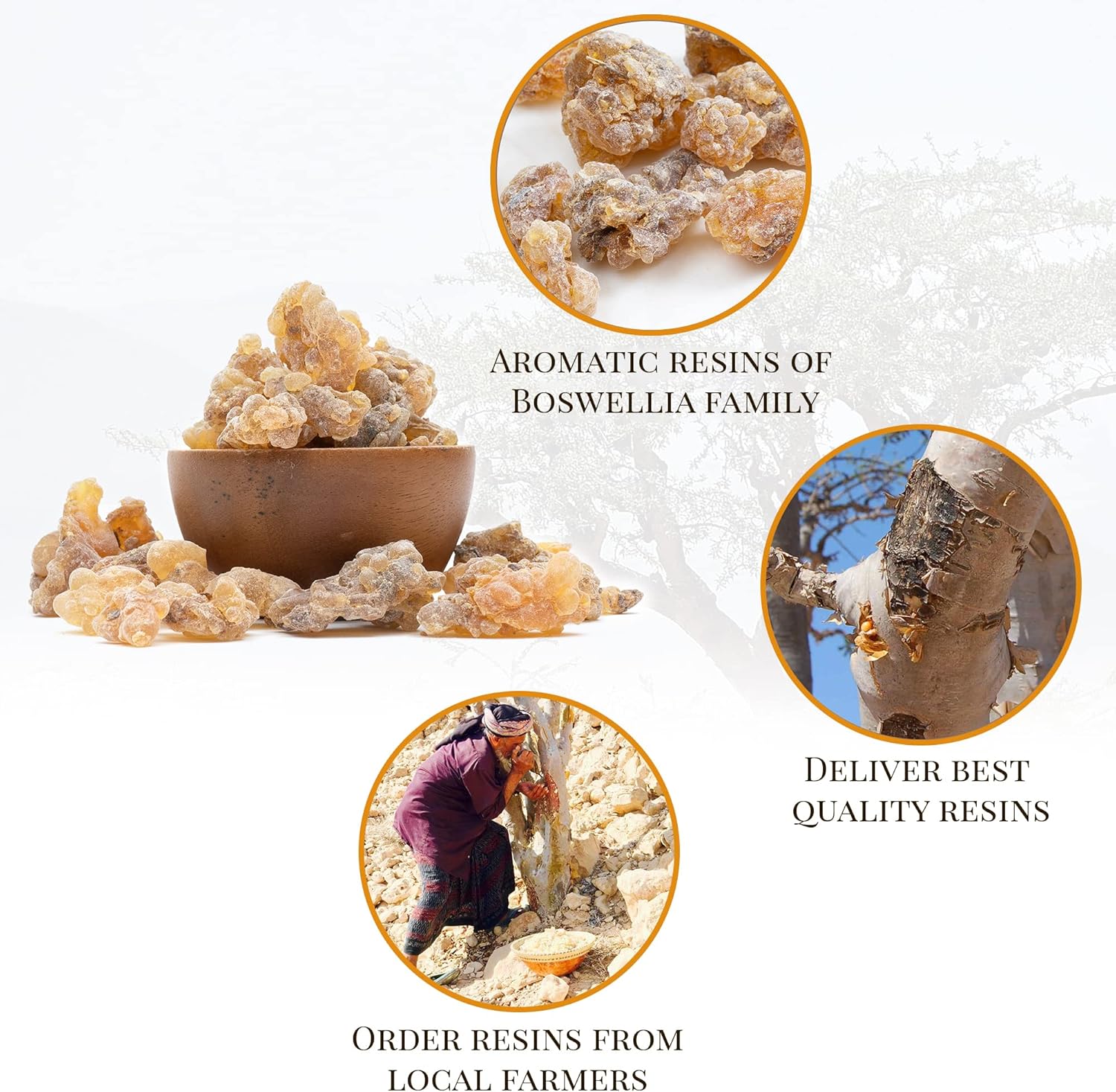 Frankincense Resin - 2024 Harvested High Grade Somalia Incense 1 LB 4536g