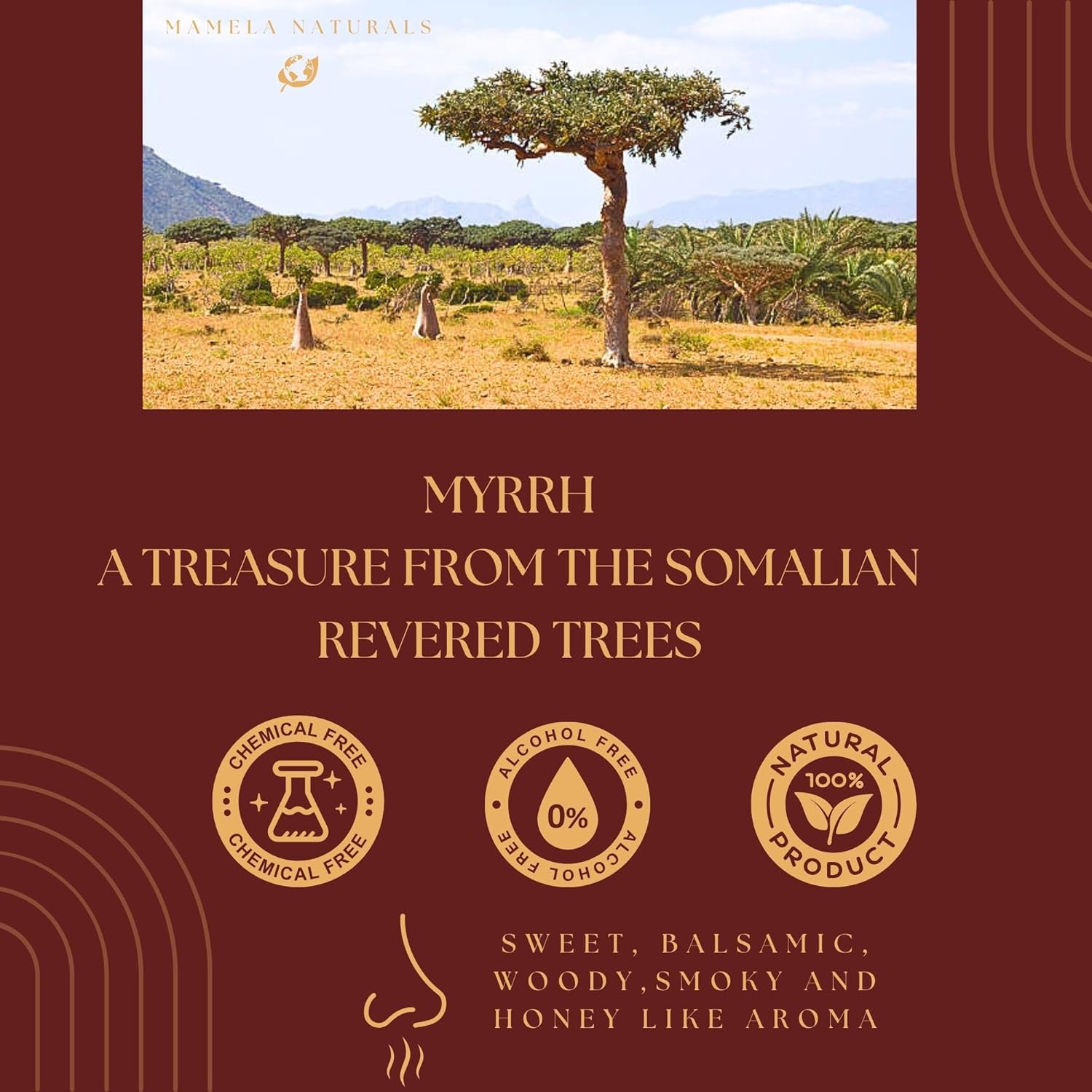 Myrrh Incense 2oz Natural Wild-Harvested Somalia