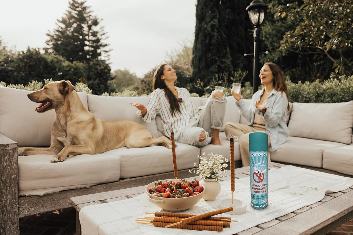 FRANKs SKEETER STICKS 8 Hour Mosquito Repellent Incense