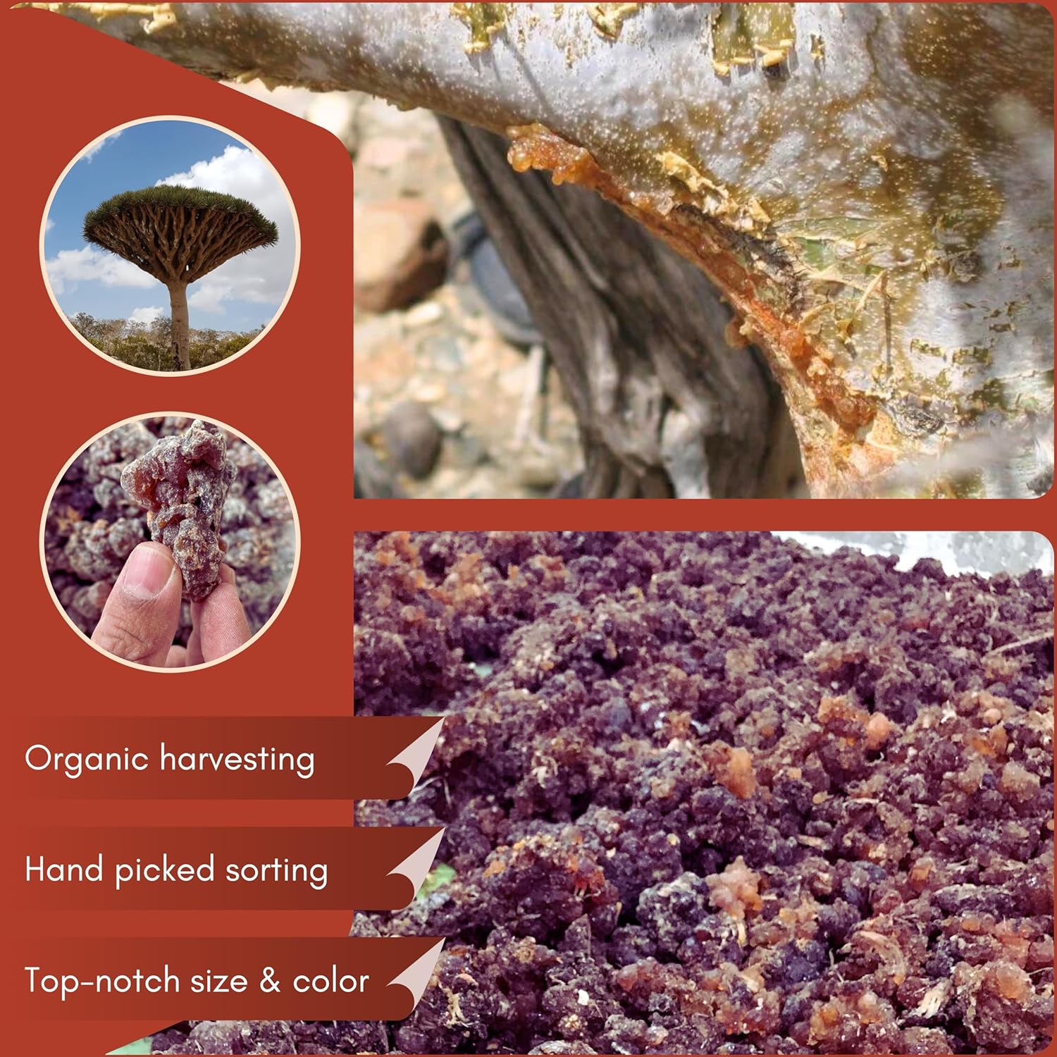 Myrrh Resin Incense - 30g Pack - Natural Aromatherapy
