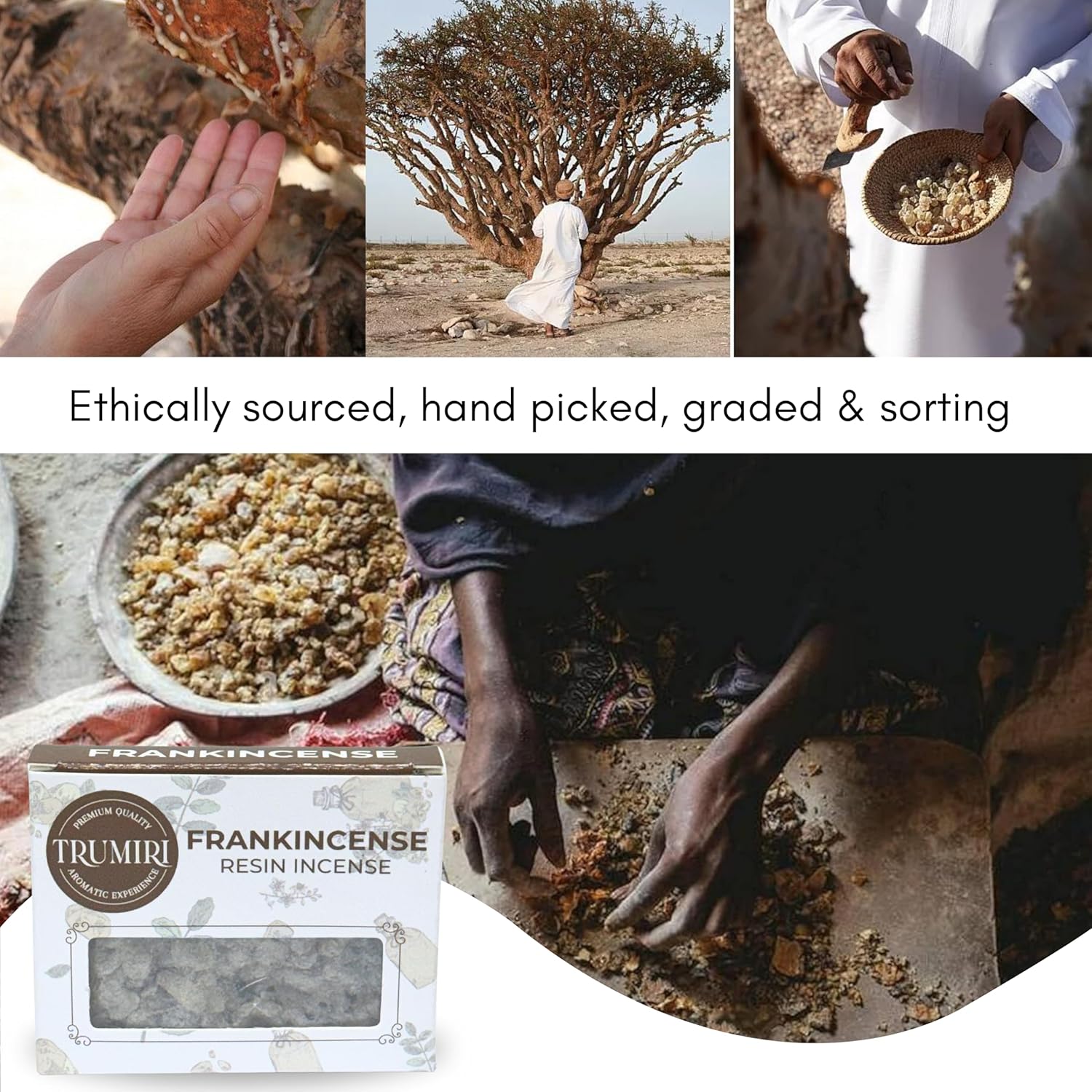 Frankincense Resin Incense for Church - 30g Pack